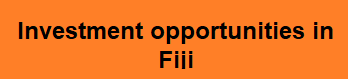 Investment in FIJI